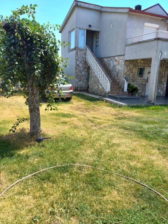 הוסטל Mitrovici  Traveler'S Rest - Near Podgorica Airport מראה חיצוני תמונה