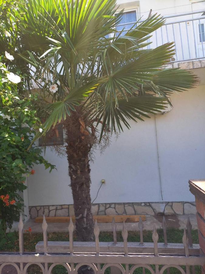 הוסטל Mitrovici  Traveler'S Rest - Near Podgorica Airport מראה חיצוני תמונה